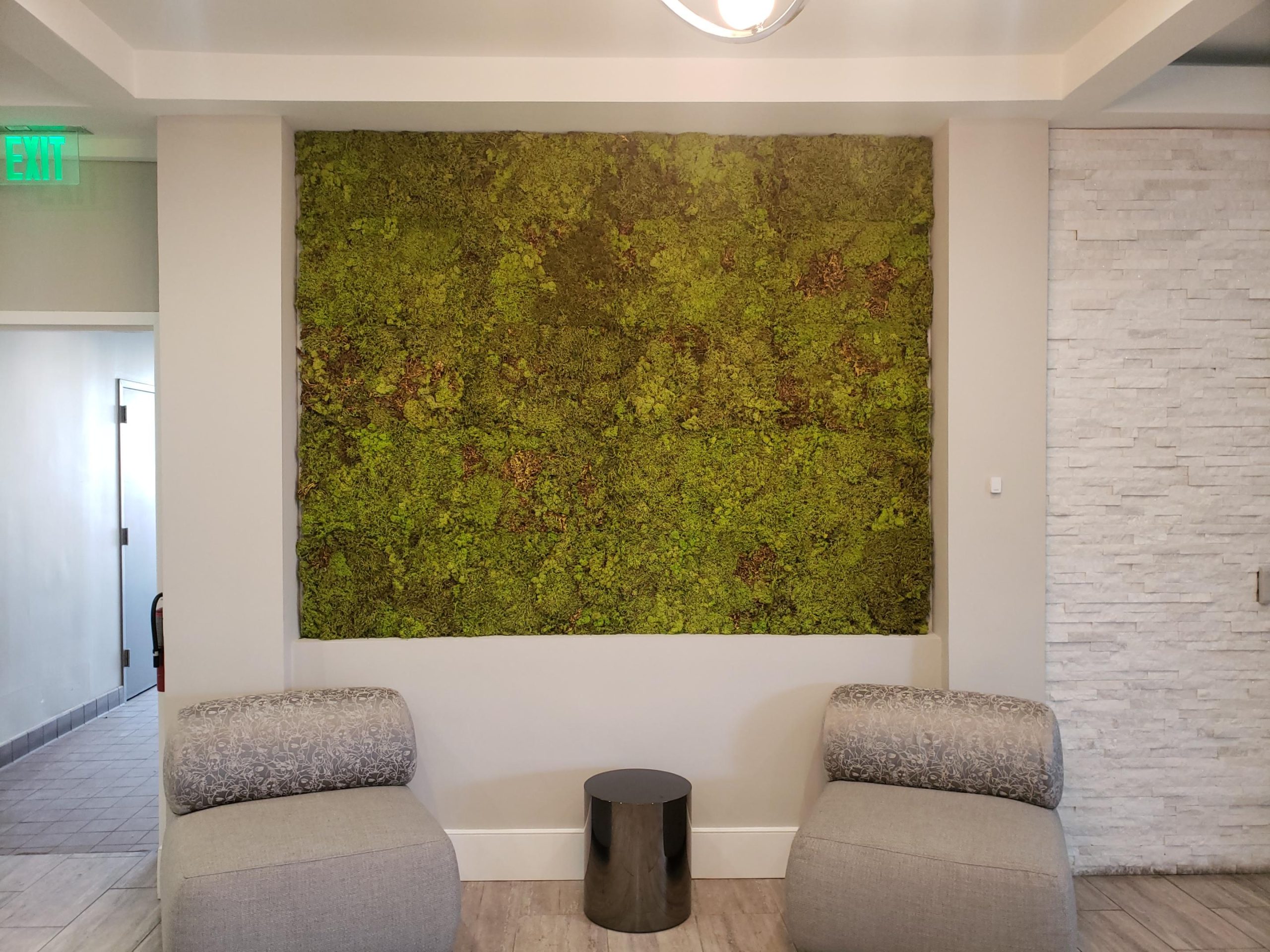 Moss wall installation in Towson, MD